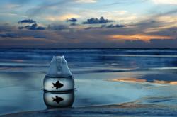 开云体育中国官网-F1新赛季揭幕战焦点战，加纳如何拿下那不勒斯？