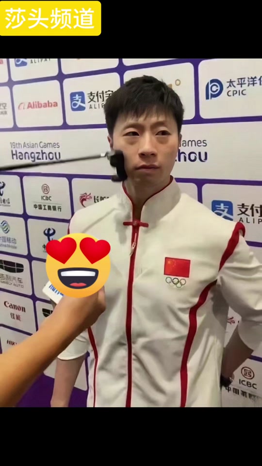 日本乒乓球队绝地反击法国乒乓球队，水谷隼绝境逆转的简单介绍