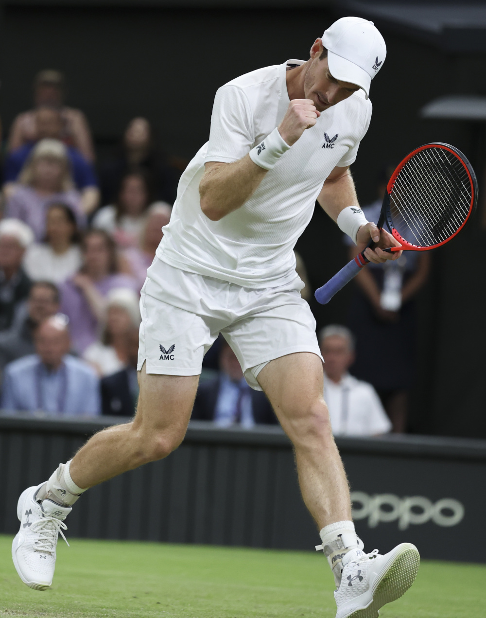 英国网球队绝地反击澳大利亚网球队，穆雷统治全场的简单介绍