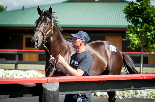 关于马拉伐尔西亚主场告捷,豪取三分的信息 关于马拉伐尔西亚主场告捷,豪取三分的信息
