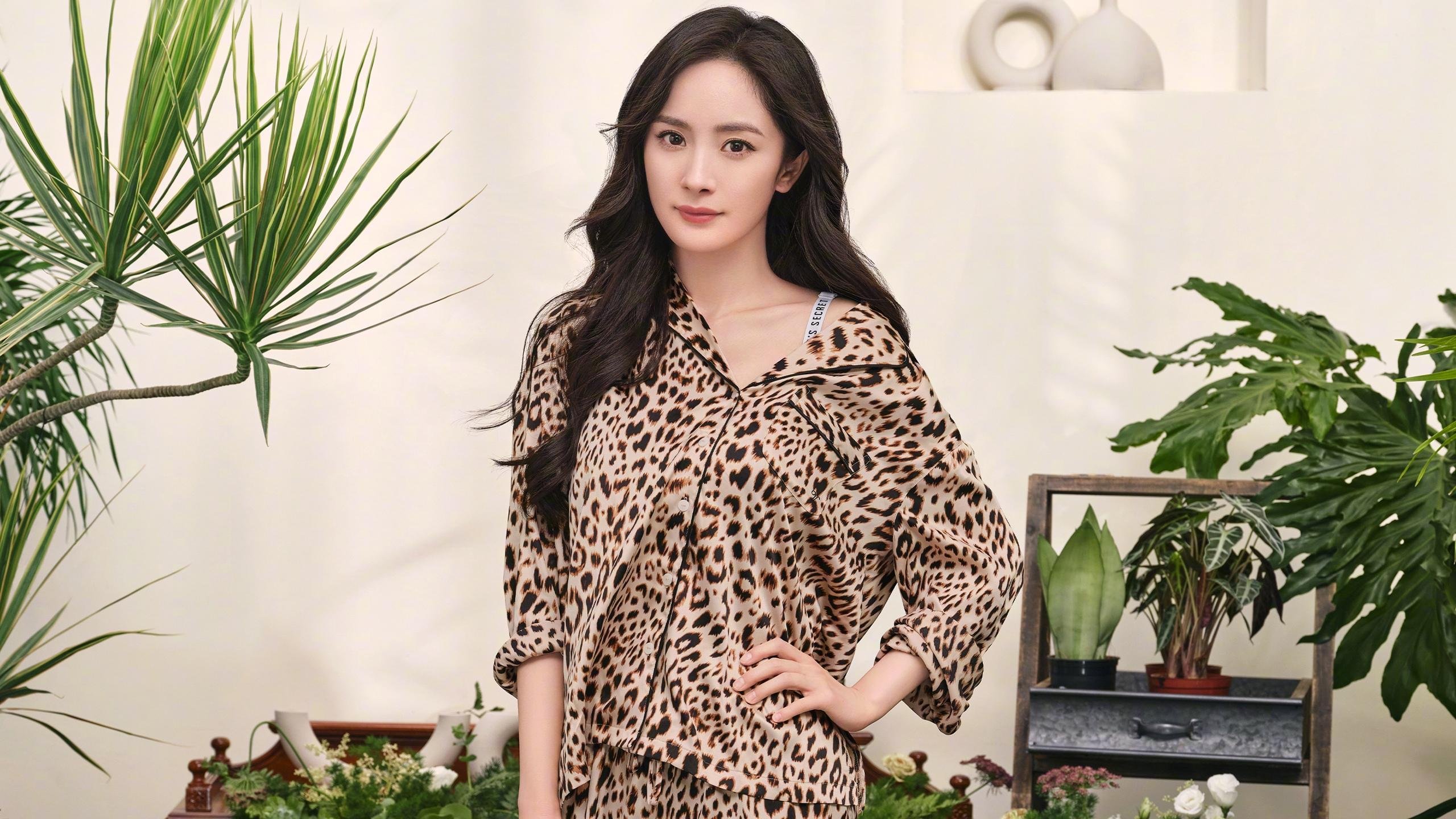 绿茵与硬木的突围交响，当欧冠焦点战遇见吉林队的关键之夜