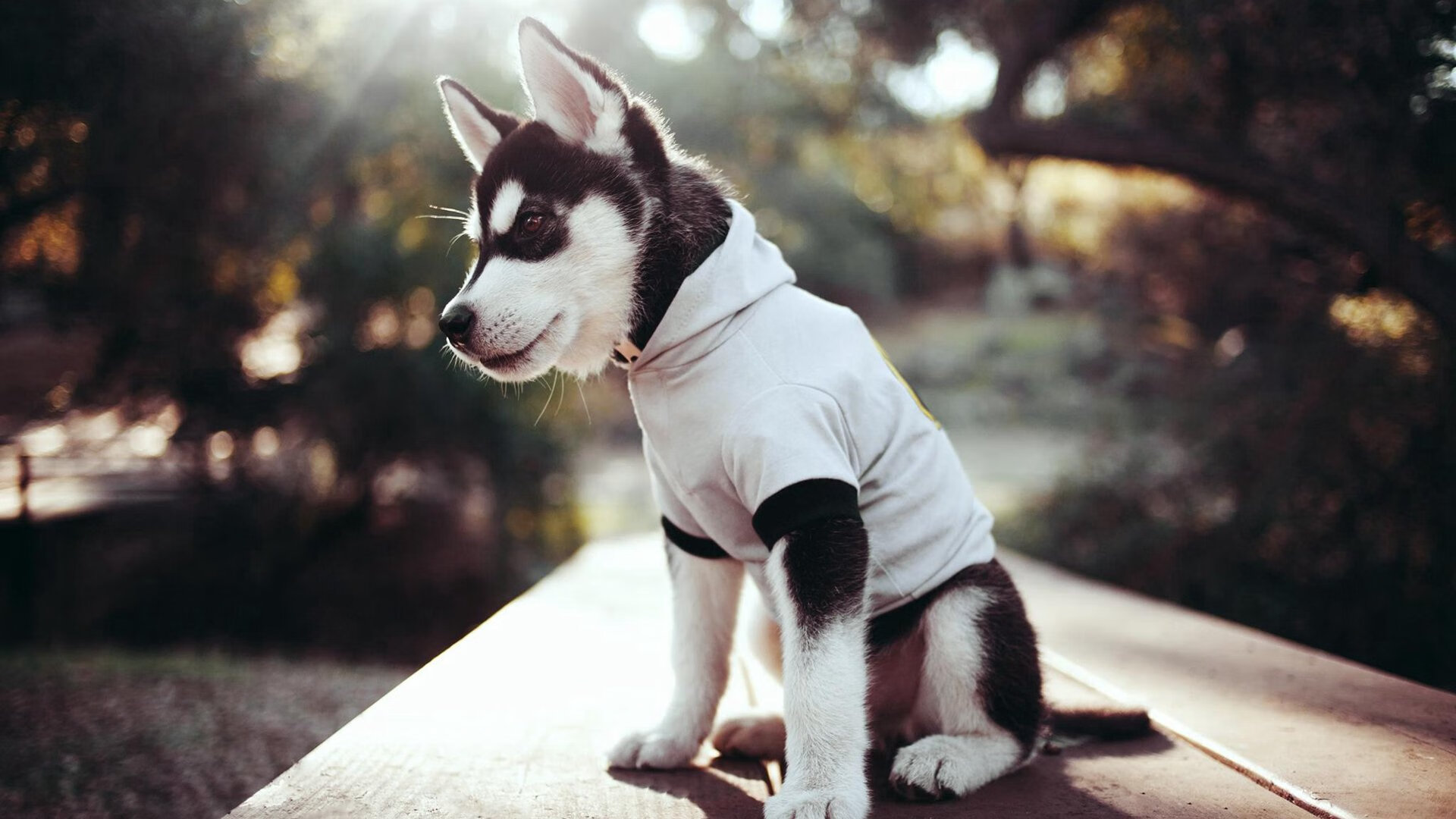 加勒比风暴撕裂北欧壁垒,姆巴佩单骑破阵,牙买加战术革命震撼丹麦