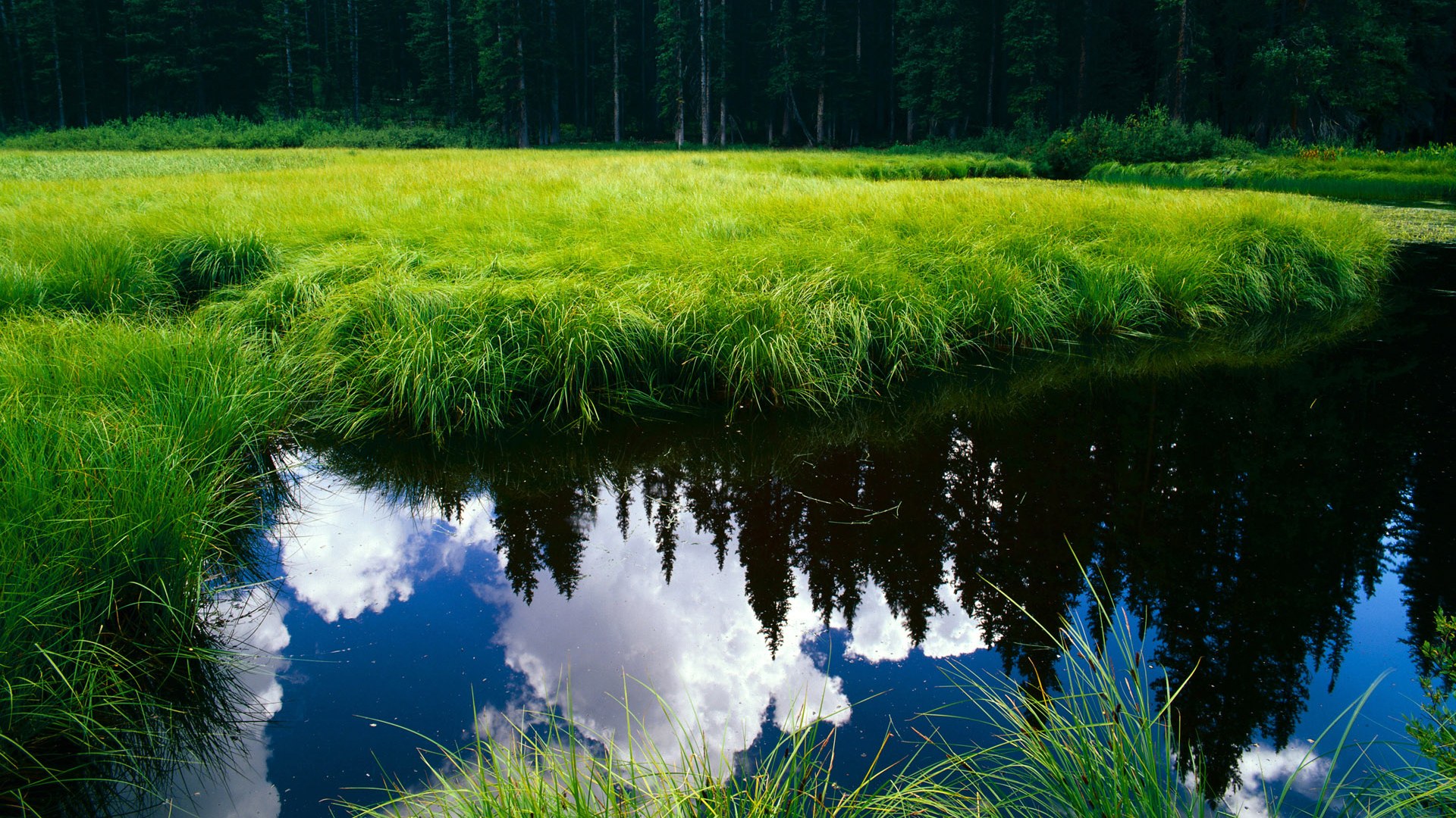 篮网与辽宁的跨时空对决,塔图姆的压制级表演如何定义现代篮球