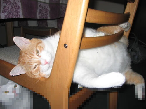 从威斯特法伦到温布利，多特蒙德的战术革命与萨卡的终极加冕